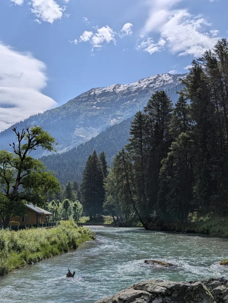 Cozy wooden cabin along Lidder river stream in Aru Valley