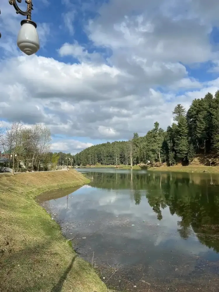 Nilnag pine-encircled lake reflecting clouds