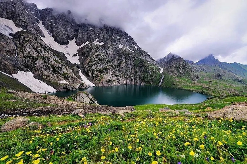 Gangabal high alpine lake with blooming yellow buttercup wildflowers under cirque