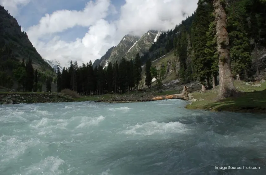 Glacial white water rapids of the Sindh River in Sonamarg