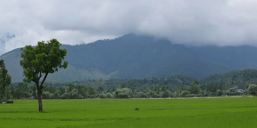 Lolab Valley emerald green paddy fields and forested hill ranges